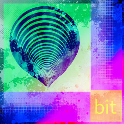 bit